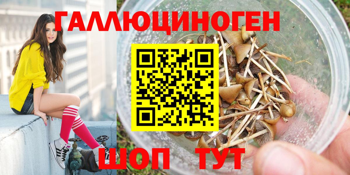 Галлюциногенные грибы прущие грибы Сальск
